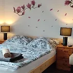 Kis Kucko Tapolca